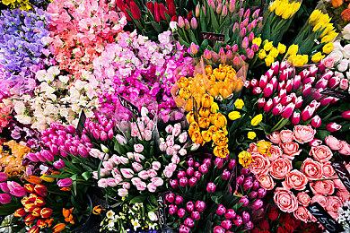 《堡垒之夜》再次联动星战 波巴·费特12月加入游戏